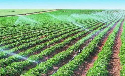 草校花白丝国产在线看农田高 效节水灌溉
